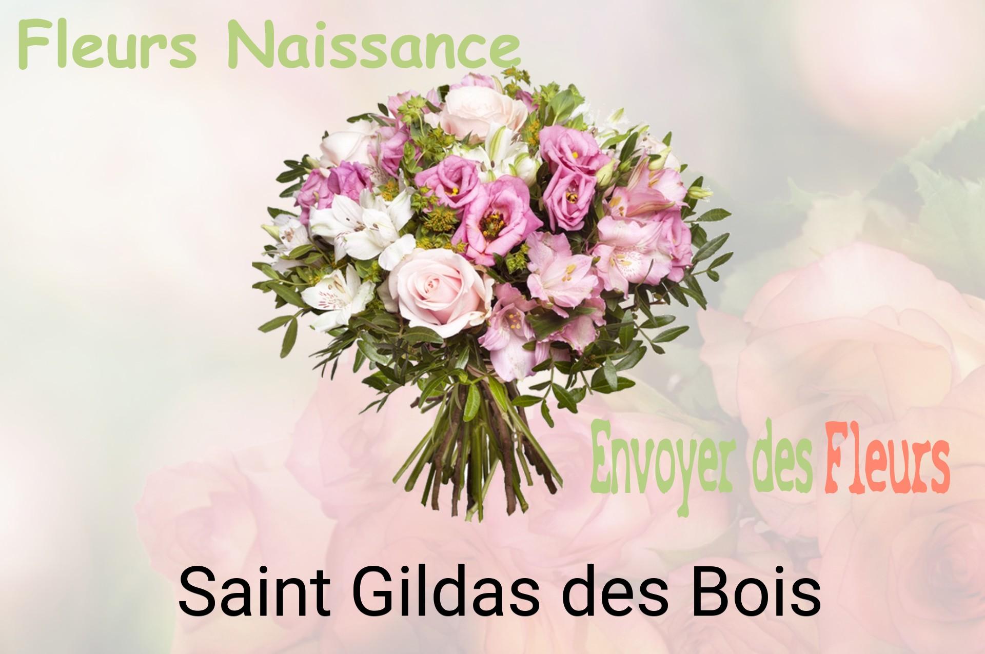 Bouquet de fleurs de naissance livré à Saint-Gildas-des-Bois